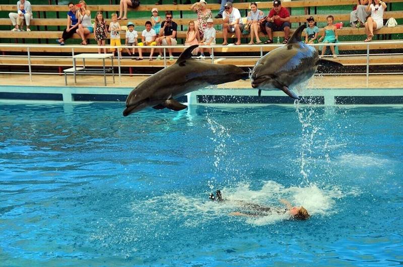 Dolphinarium Kemer